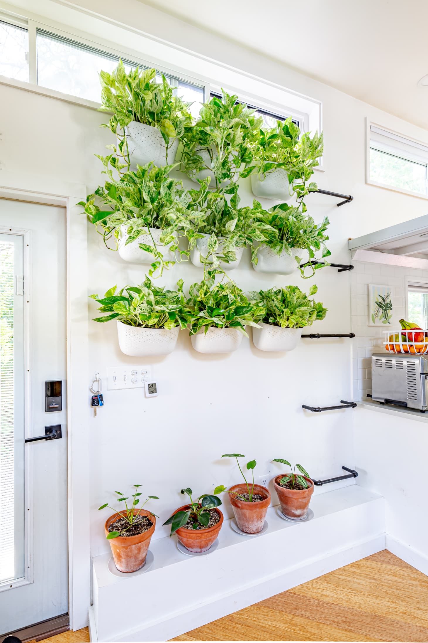Wall hanging plants cheap
